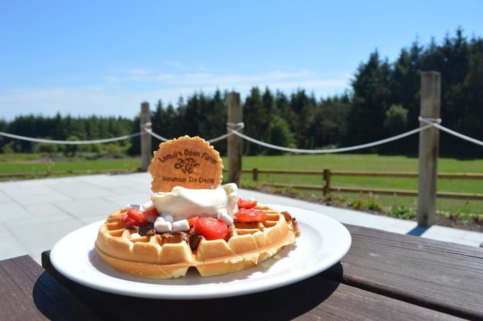 Leahys Pod Park Otel Cork Dış mekan fotoğraf